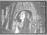 [Untitled]