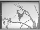 [Untitled]