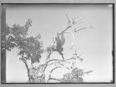 [Untitled]