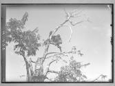 [Untitled]
