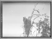 [Untitled]