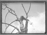 [Untitled]