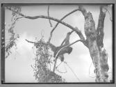 [Untitled]