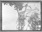 [Untitled]