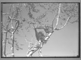 [Untitled]