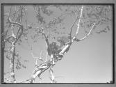 [Untitled]