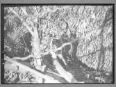[Untitled]