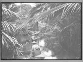 [Untitled]