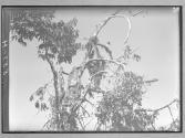 [Untitled]