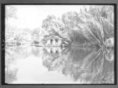 [Untitled]