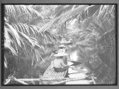 [Untitled]