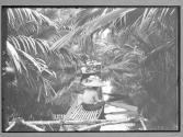 [Untitled]