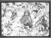 [Untitled]