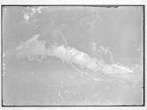 [Untitled]
