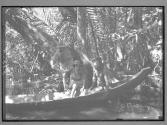 [Untitled]