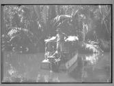 [Untitled]