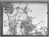 [Untitled]