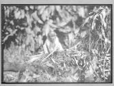 [Untitled]
