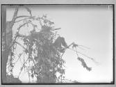 [Untitled]