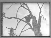 [Untitled]