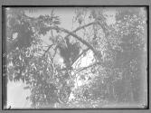 [Untitled]