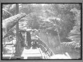 [Untitled]