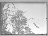 [Untitled]