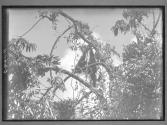 [Untitled]