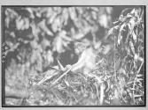 [Untitled]