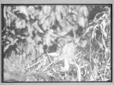 [Untitled]