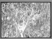 [Untitled]