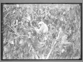 [Untitled]