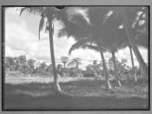 [Untitled]