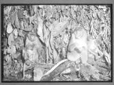 [Untitled]