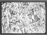 [Untitled]