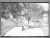 [Untitled]