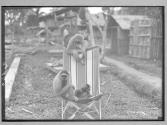 [Untitled]