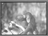 [Untitled]