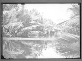 [Untitled]
