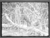 [Untitled]