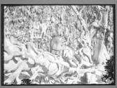 [Untitled]