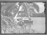 [Untitled]
