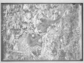 [Untitled]