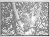[Untitled]