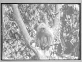 [Untitled]