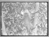 [Untitled]