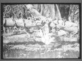 [Untitled]