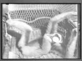 [Untitled]