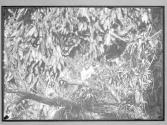 [Untitled]