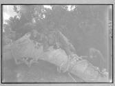 [Untitled]